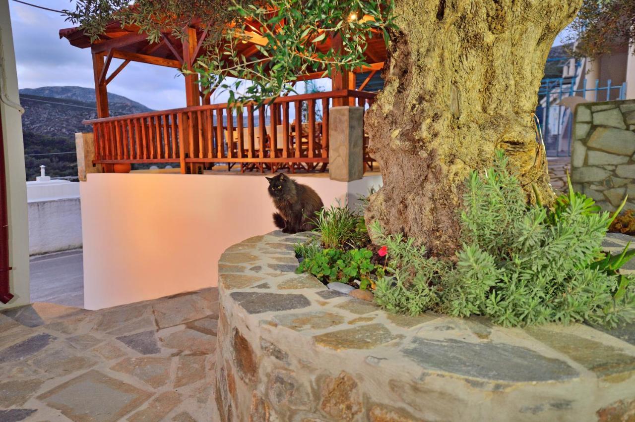 Plokamos House Villa Plokamianá Kültér fotó